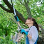 tree pruning services near me