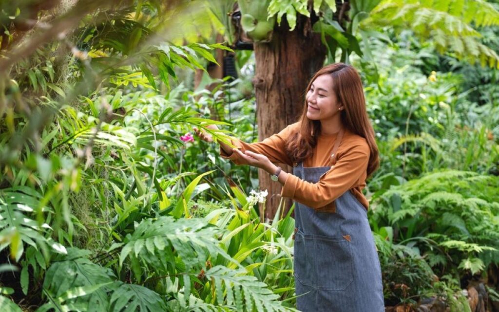 tree pruning sydney